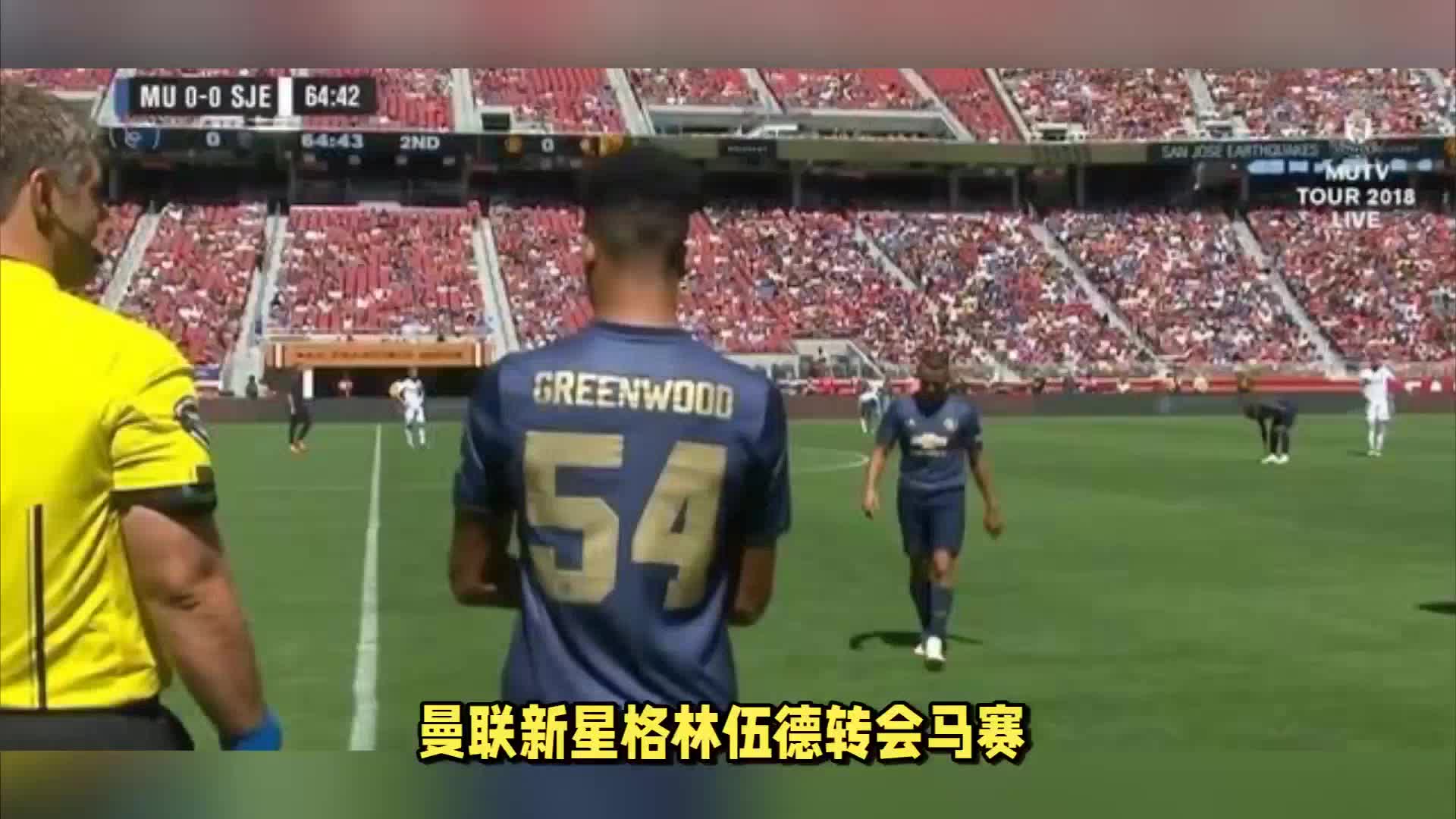 体的